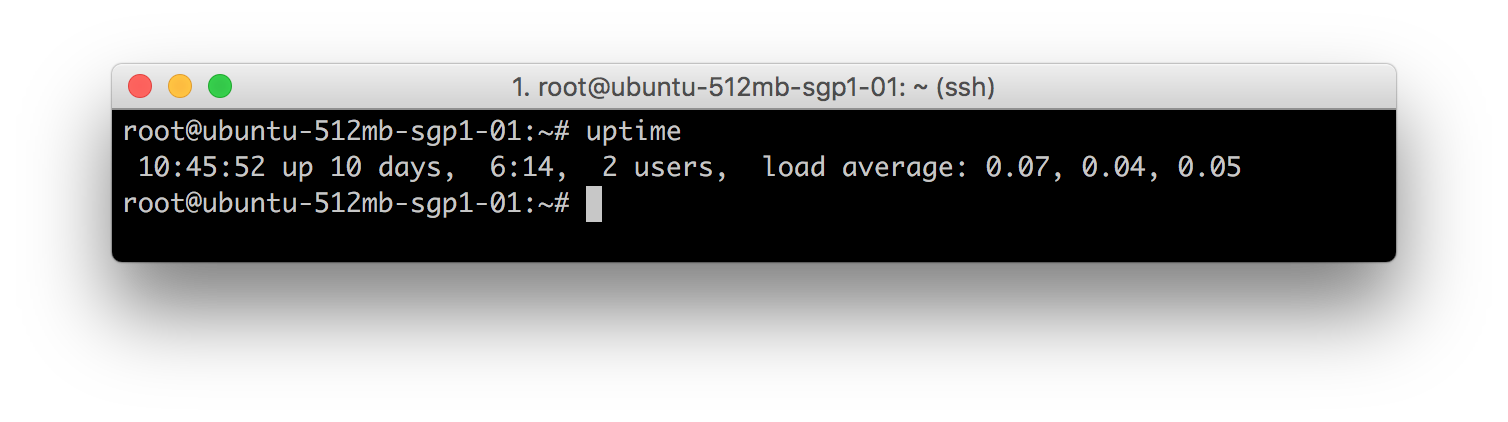 Uptime Program